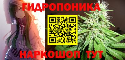 Альфа ПВП Будённовск