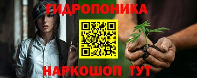 Альфа ПВП Будённовск