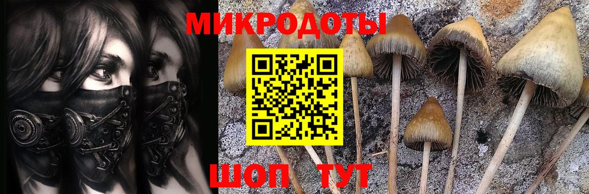 Псилоцибиновые грибы Psilocybine cubensis  Галлюциногенные грибы Cubensis  Вход с VPN  Нягань 